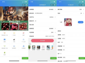 王者荣耀装逼神器助手小程序源码_支持多种流量主模式-欢迎访问本站